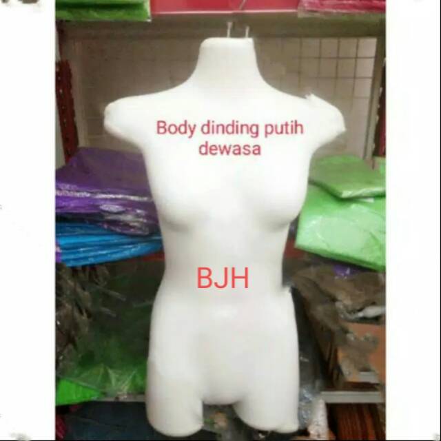 Body dinding dewasa putih