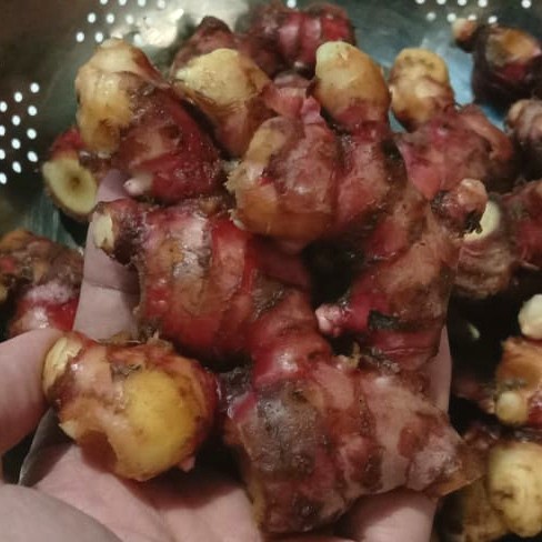 

tradisional-minuman- jahe merah segar dan fresh uk.1000gram -minuman-tradisional.