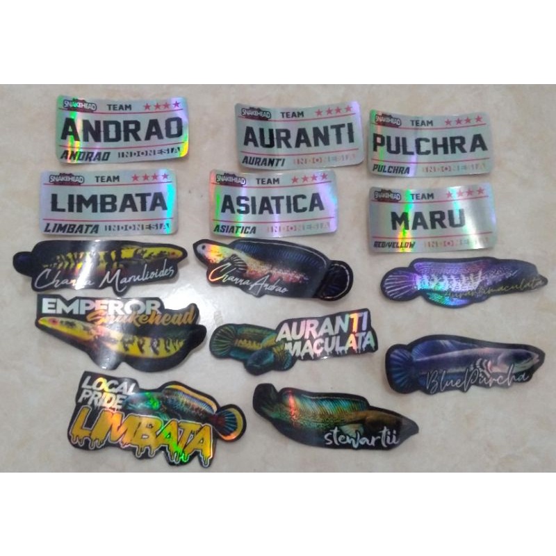 

sticker channa hologram 1paket isi 5