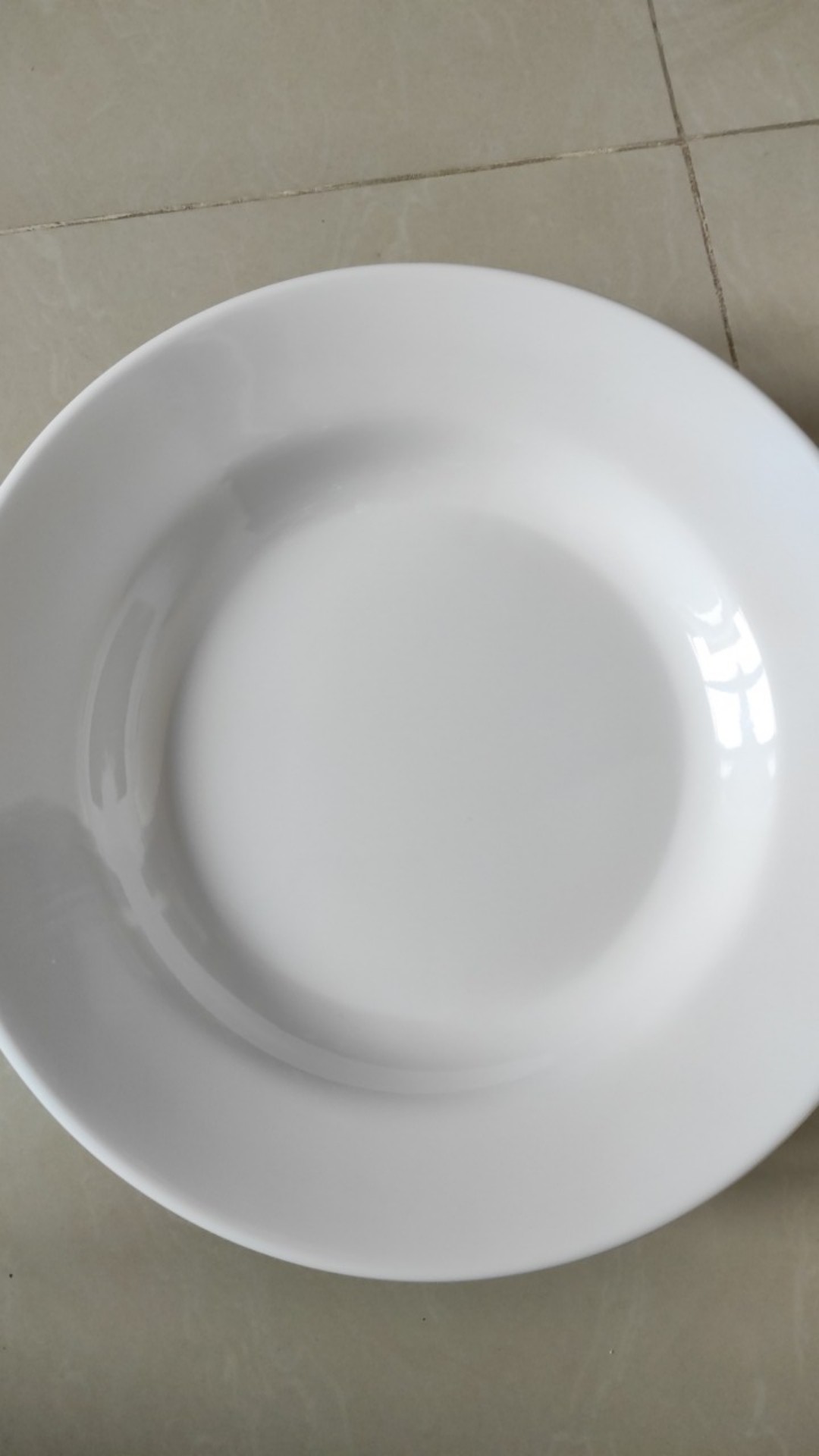 Piring Makan 9 Inci Putih P5309 - Golden Dragon Melamine Horeka