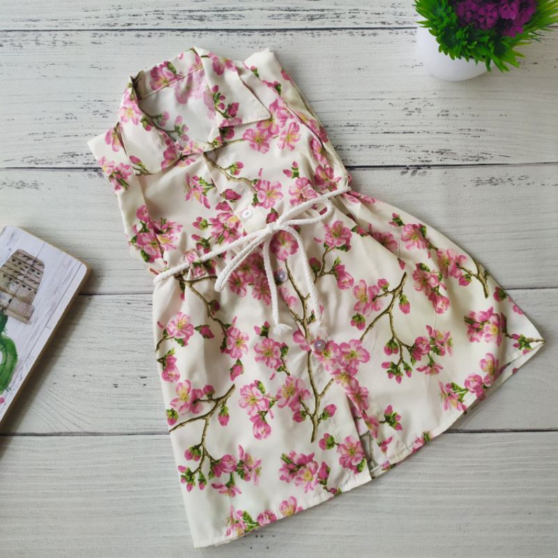 Dress Brenda