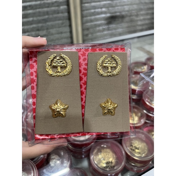 pangkat asn pns 4A lampung bengkulu polos