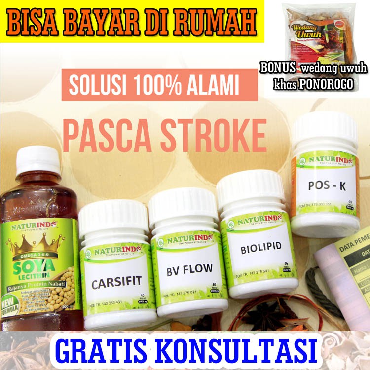 OBAT STROKE HERBAL OBAT STROKE AMPUH OBAT STROKE RINGAN TERAPI STROKE PAKET PERESEPAN STROKE