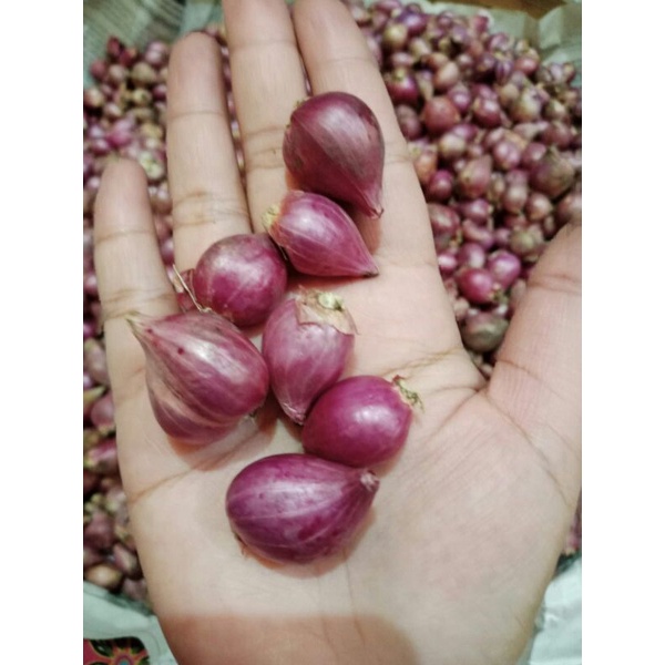 

BAWANG MERAH CAMPURAN SEDANG KECIL 1KG