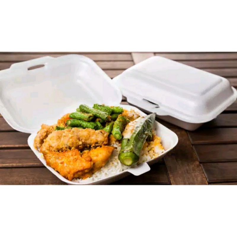 Styrofoam/sterofoam/gabus nasi/kotak makan 100pcs