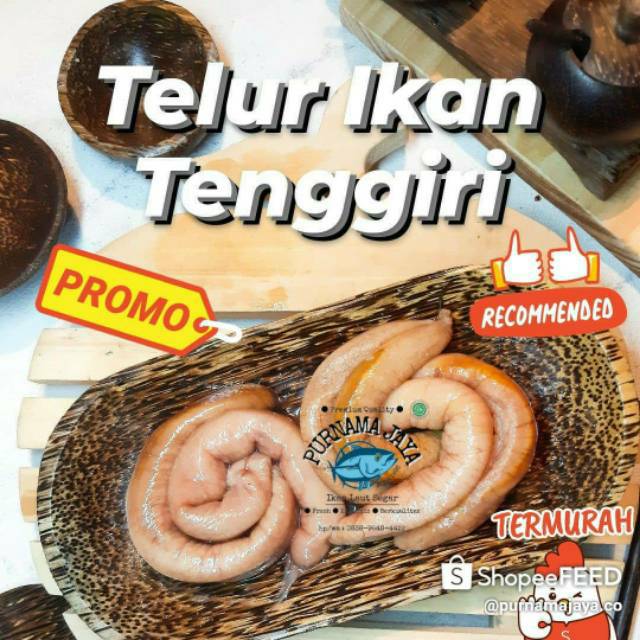 

TELUR IKAN TENGGIRI FRESH