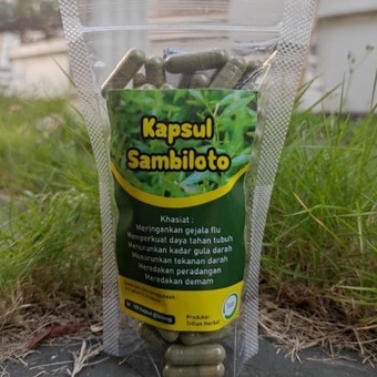 Kapsul herbal sambiloto isi 100 kapsul untuk kesehatan trifian herbal