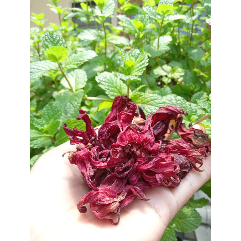 

Teh Rosella Merah 50 gram - Wedhang Rosella