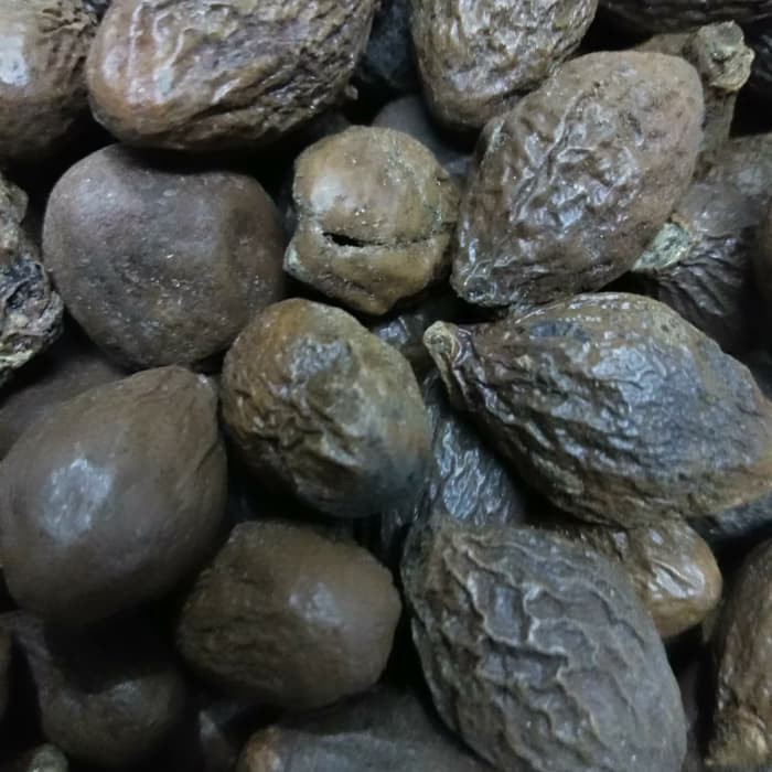 

BUAH TEMPAYANG KERING 250GR
