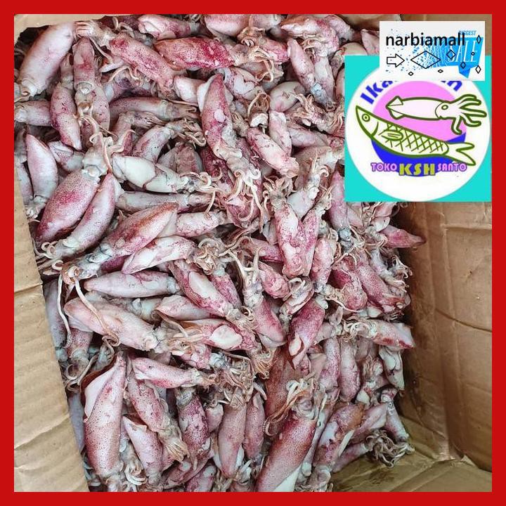 

U8Tyuj7- Ikan Asin Cumi 1Kg E4Wr46-