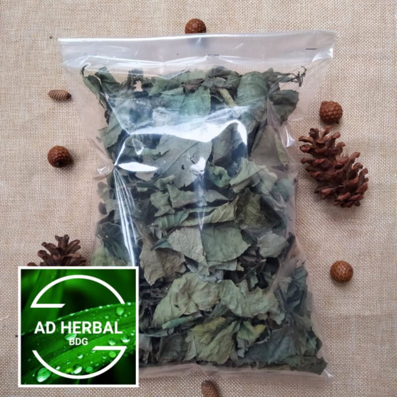 

Daun Keji Beling Kering Ki Beling Per Bungkus 100 Gram