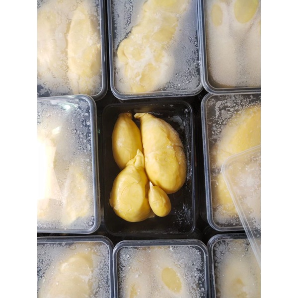 

Durian Montong palu