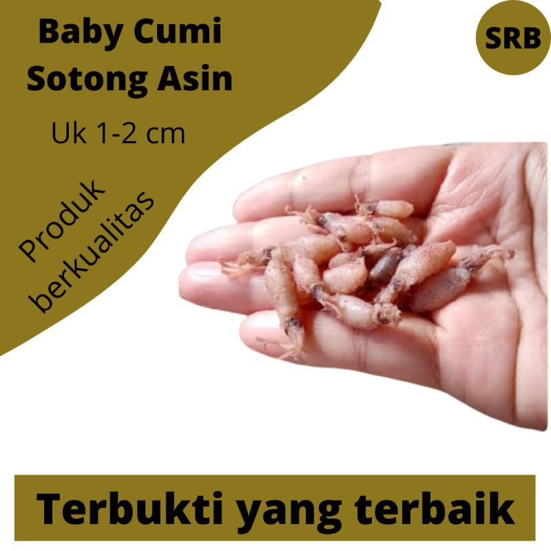 

Makanan Beku Baby cumi Asin Kering Medan Ukuran 1-2 cm Grade A Termurah