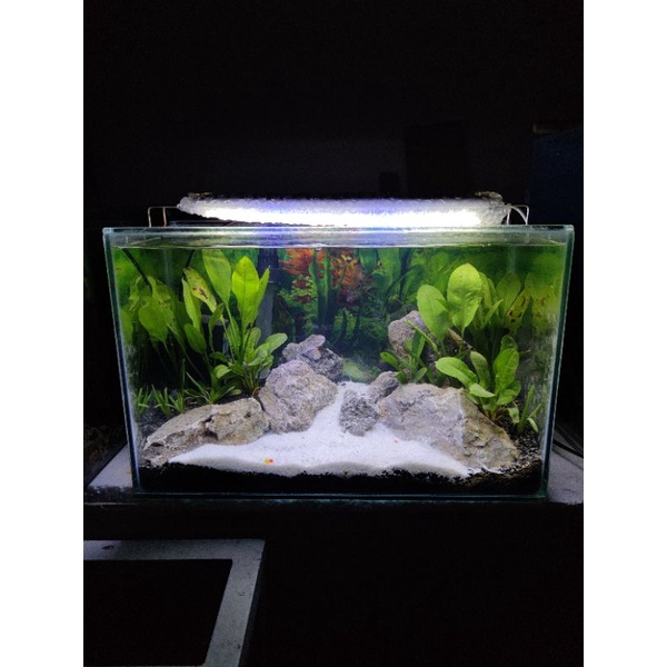 Aquarium Full Set Aquascape 40cm #2