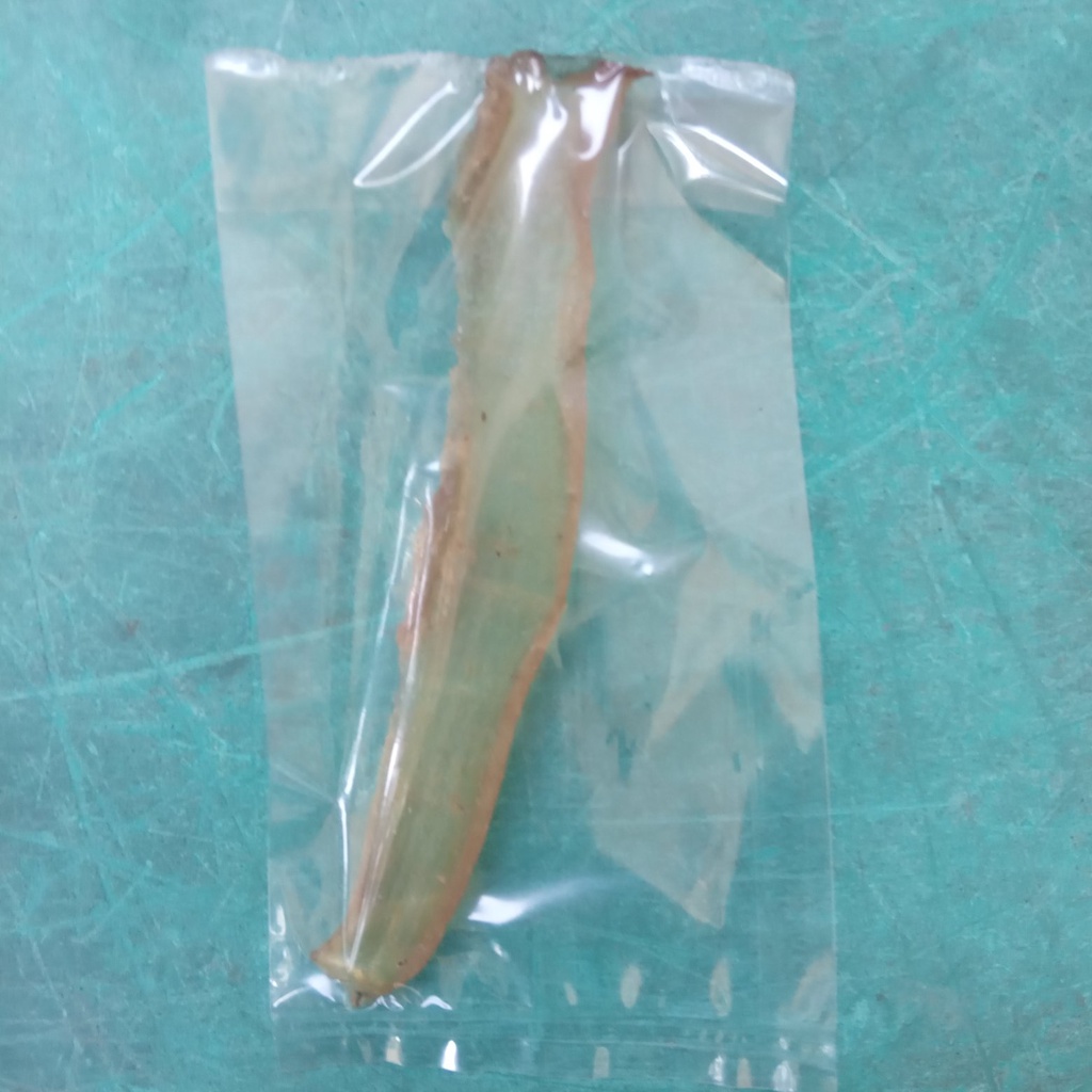 kerupuk kulit warak isi 4, kulit warak khusus ibu hamil tua, kulit warak penambah kontraksi, kulit w