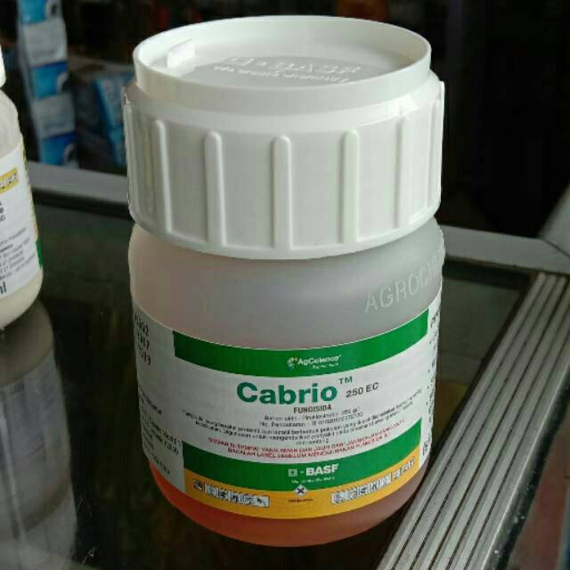 Fungisida CABRIO 100 ML