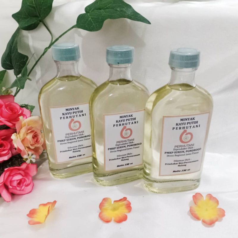 Minyak Kayu Putih Asli Perhutani 230 ml