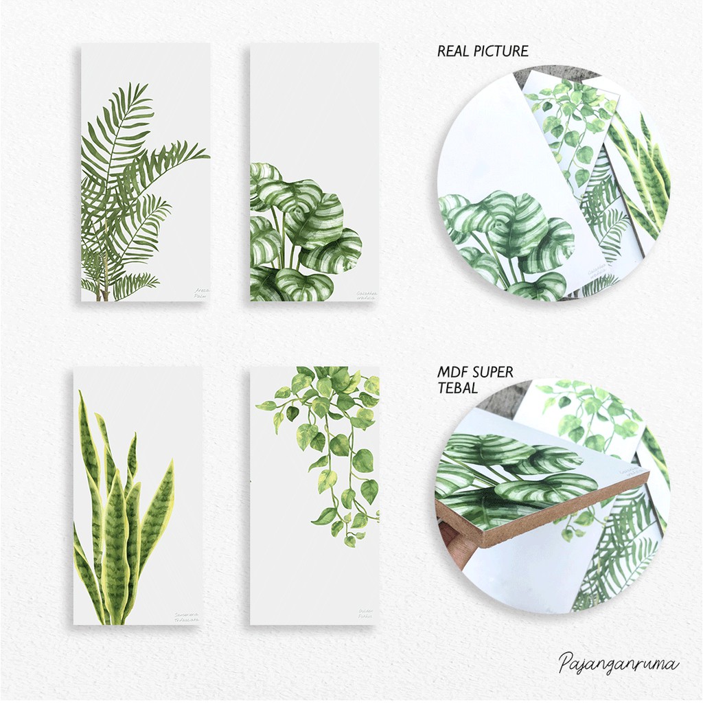 Pajangan Rumah Dekorasi Rumah HIasan Dinding Tanaman Floral Tropical Aesthetic