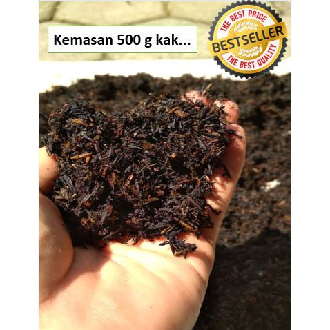 Media Tanam Sekam Bakar / sekam bakar 500 gr / sekam MURAH
