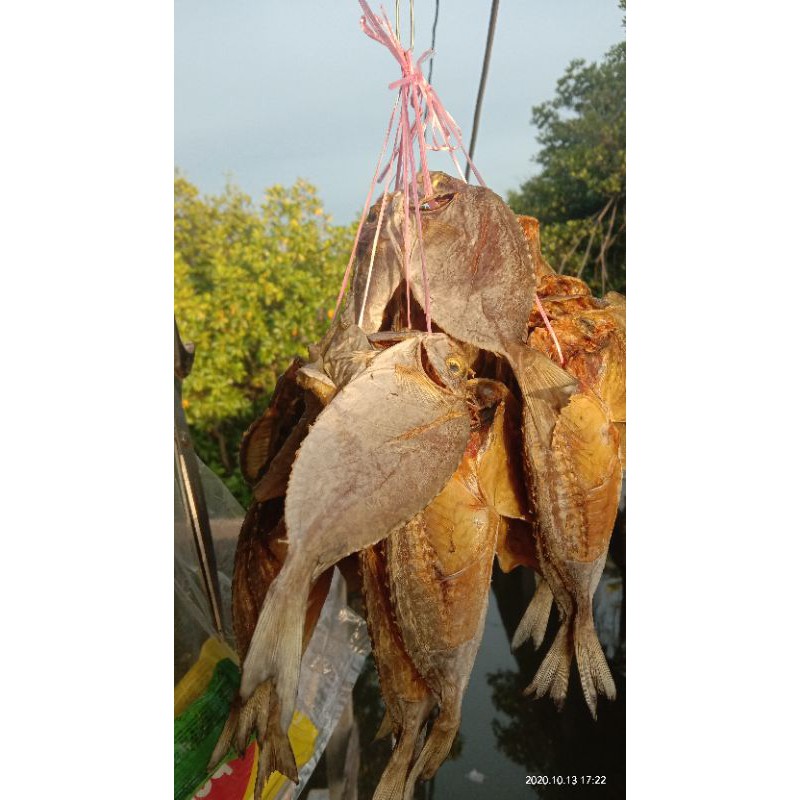 

IKAN ASIN DINGKIS (10 Ekor)