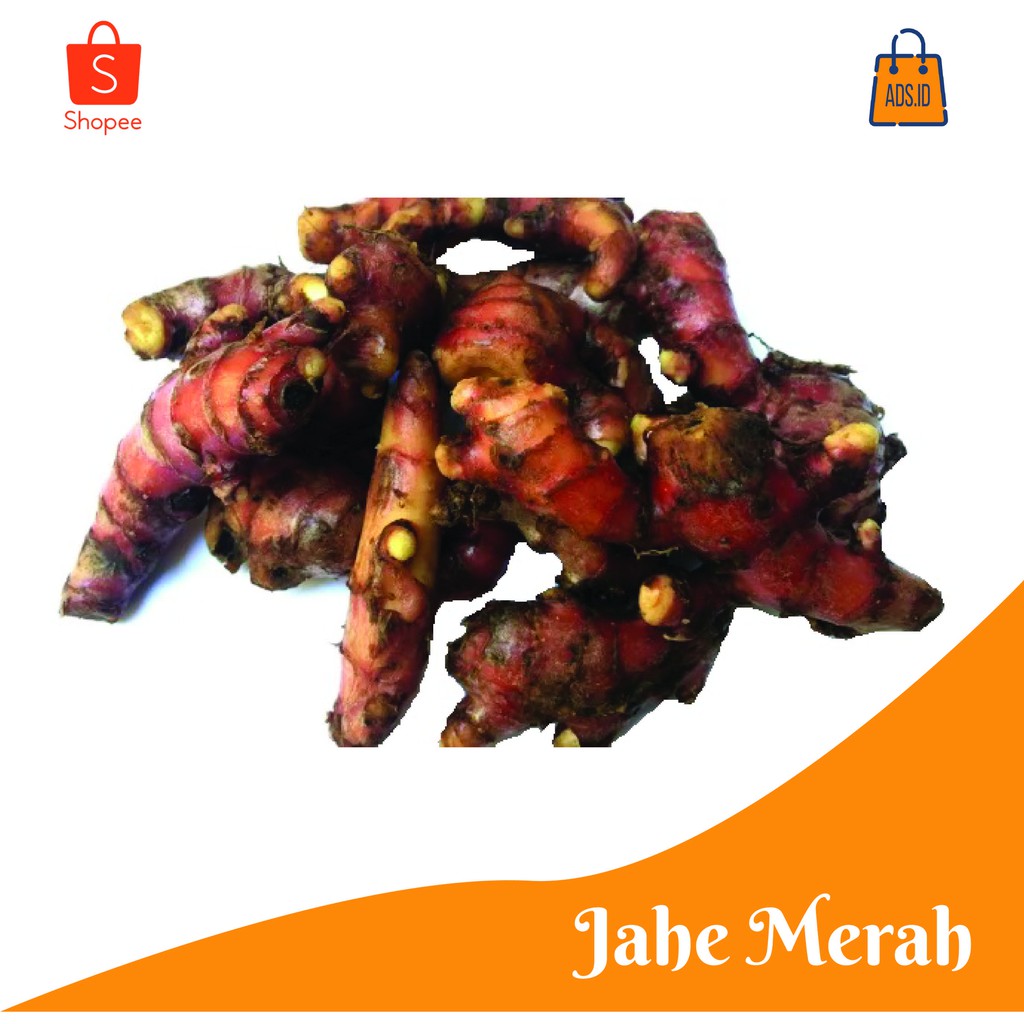 

Jahe Merah