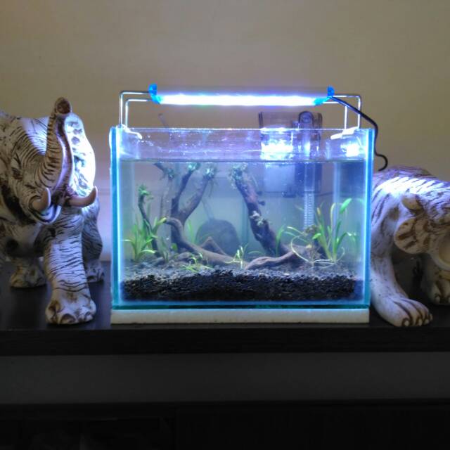 Aquarium aquascape mini fullset