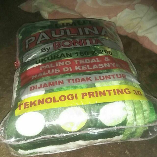 Selimut Bulu Paulina By Bonita 3d Motif Green & Blue Ukuran 160x200