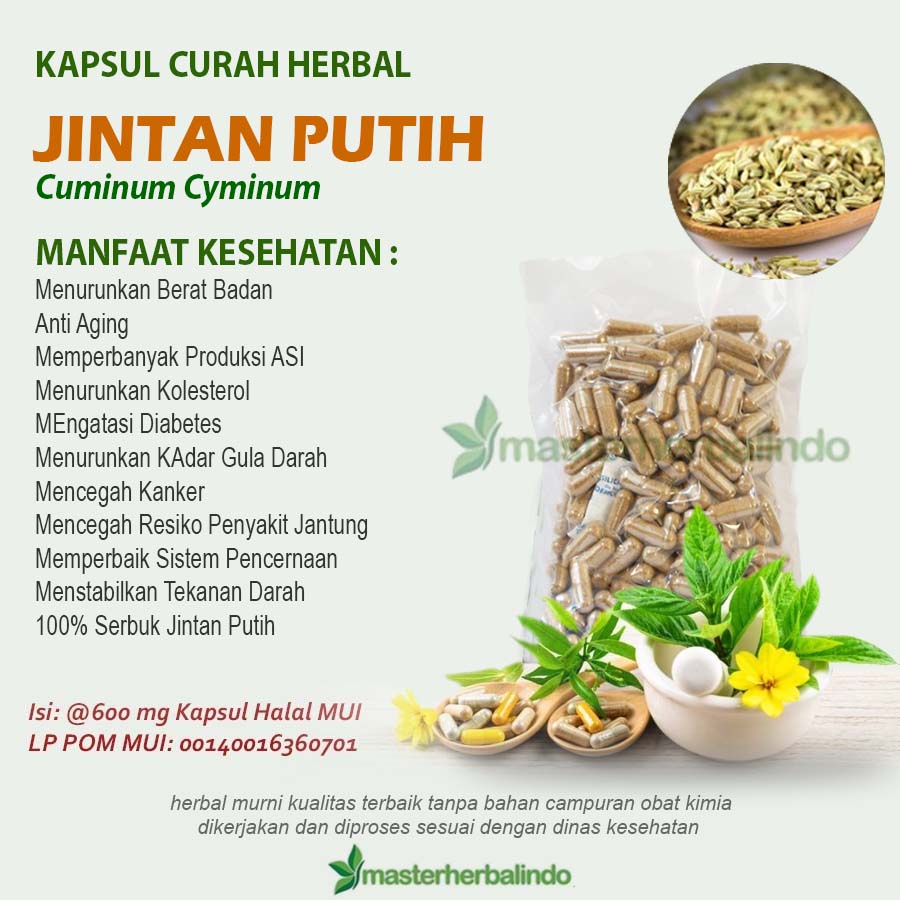 

JINTAN PUTIH Kapsul curah Herbal Anti Aging ASI Bau Mulut 100 capsul