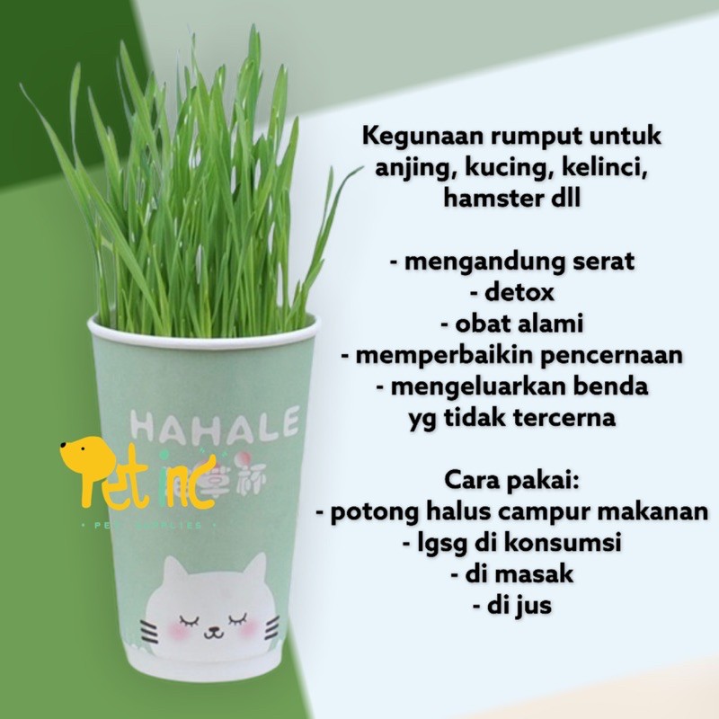 PET GRASS GARDEN CUP