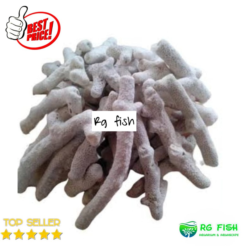 Hiasan aquarium karang jahe karang jahe filter aquarium 500gr / Batu karang jahe500gr