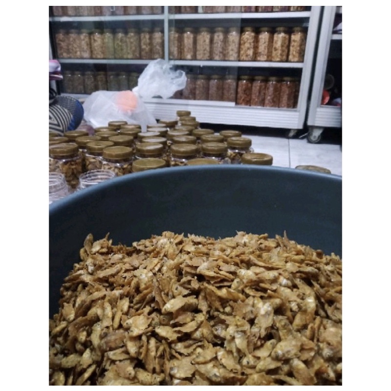 

BabyFish1kg-500gram
