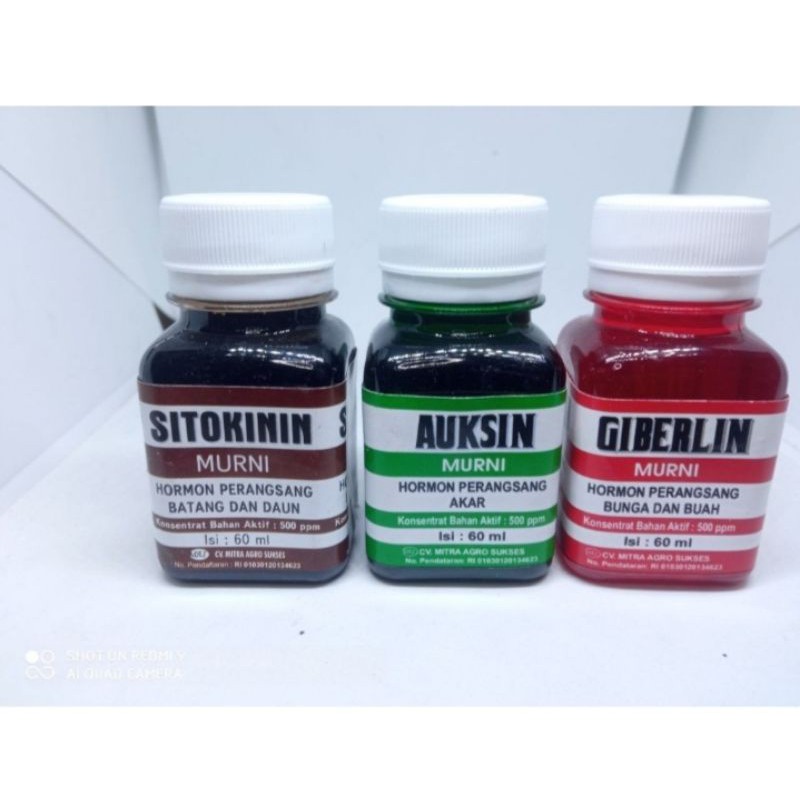 Paket Lengkap Hormon zat auksin Giberlin sitokinin
