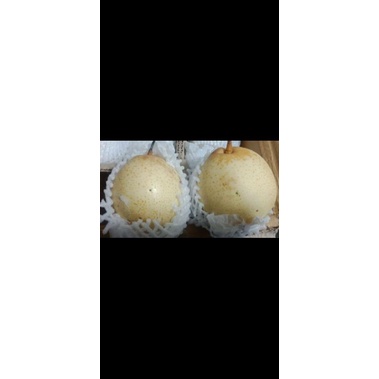 

Pir Madu Murah Manis Mantap 1kg