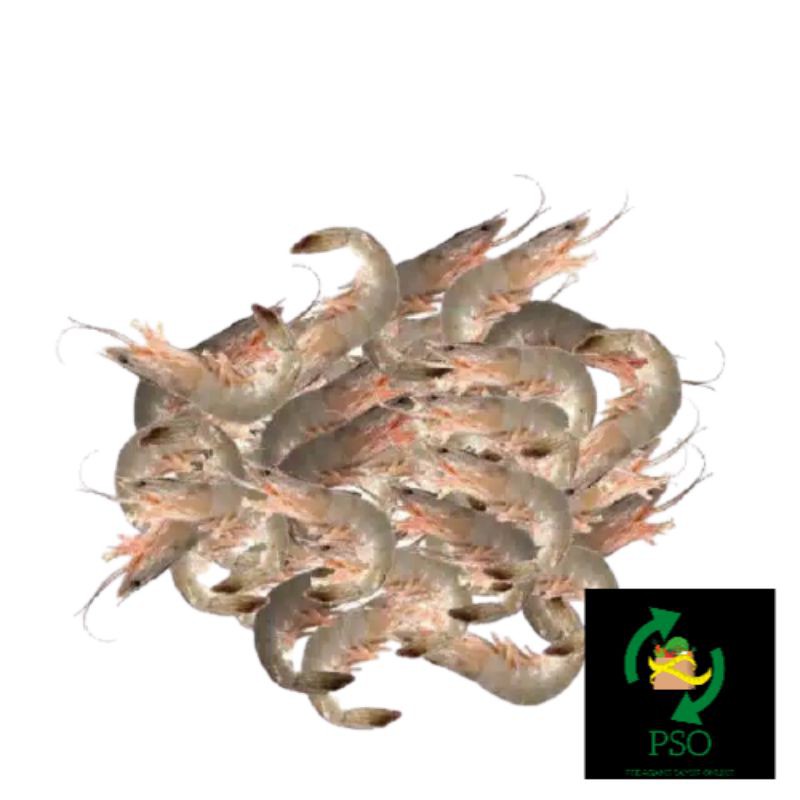 

UDANG KECIL/250GR