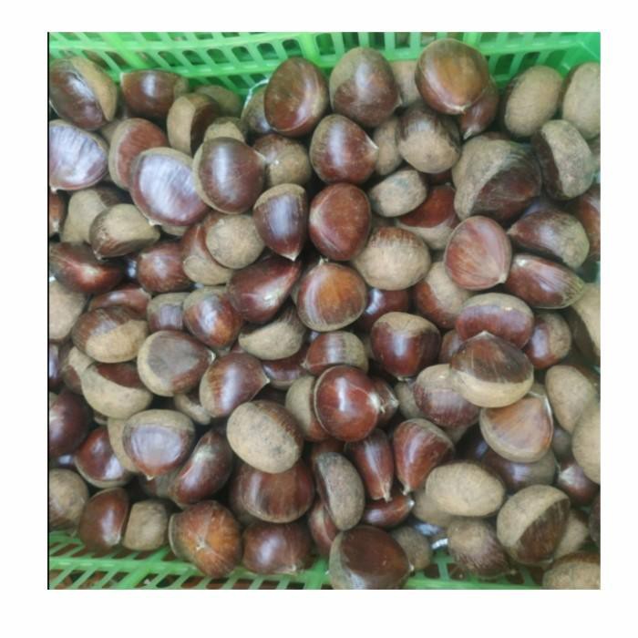 

Kacang Chessnut | kacang chessnut import korea 1 kg