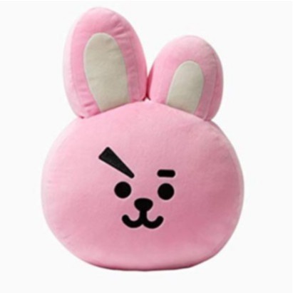 BONEKA BANTAL KOREA BTS21 BTS Cooky | Shopee Indonesia