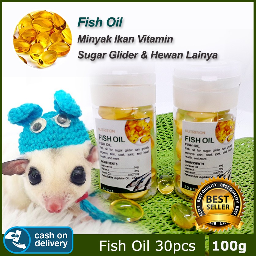 ADEWAP GLIDER Fish Oil Sugar Glider Minyak Ikan Nutrisi Vitamin Perawatan Bulu Hewan Sugar Glider