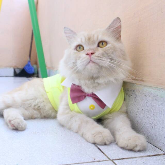 Kaos tuxedo yellowist untuk kucing dan anjing / baju kucing keren / baju kucing pesta size S M L XL