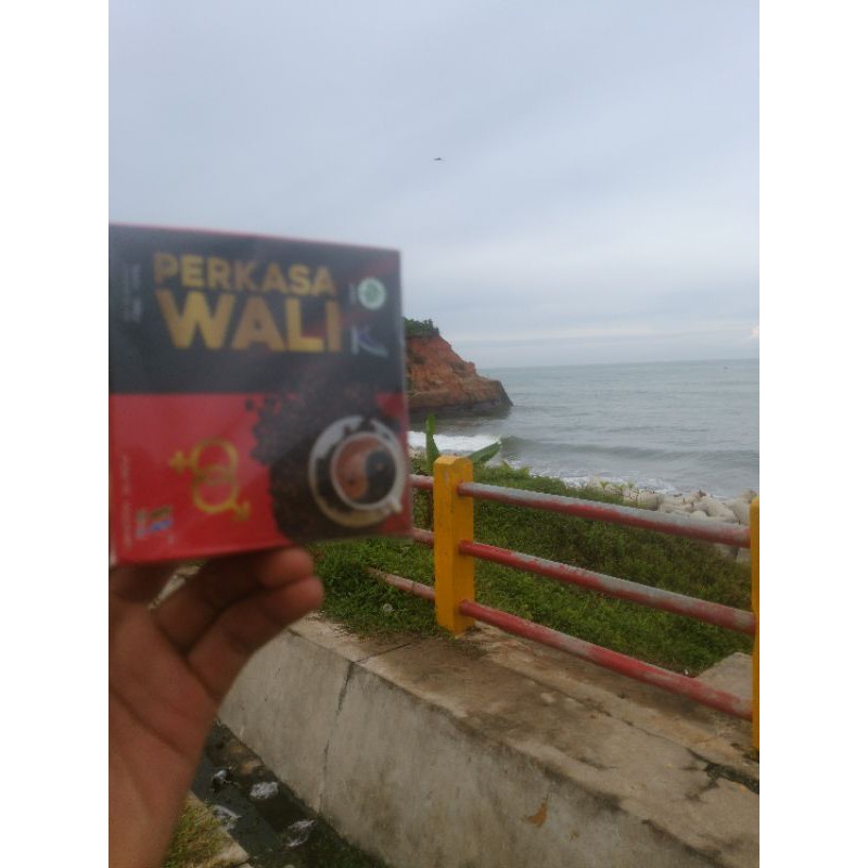

kopi wali