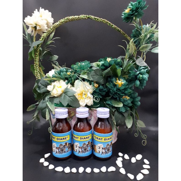 obat diare sirup untuk kucing