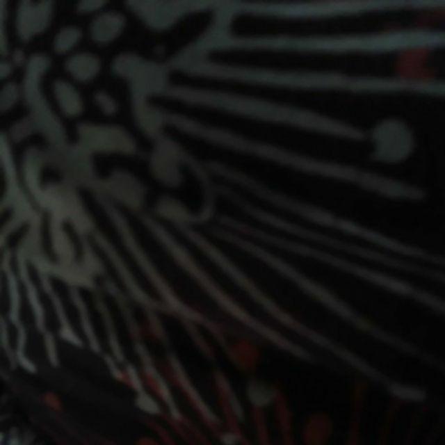 Kemeja Batik Pria Mego Busono