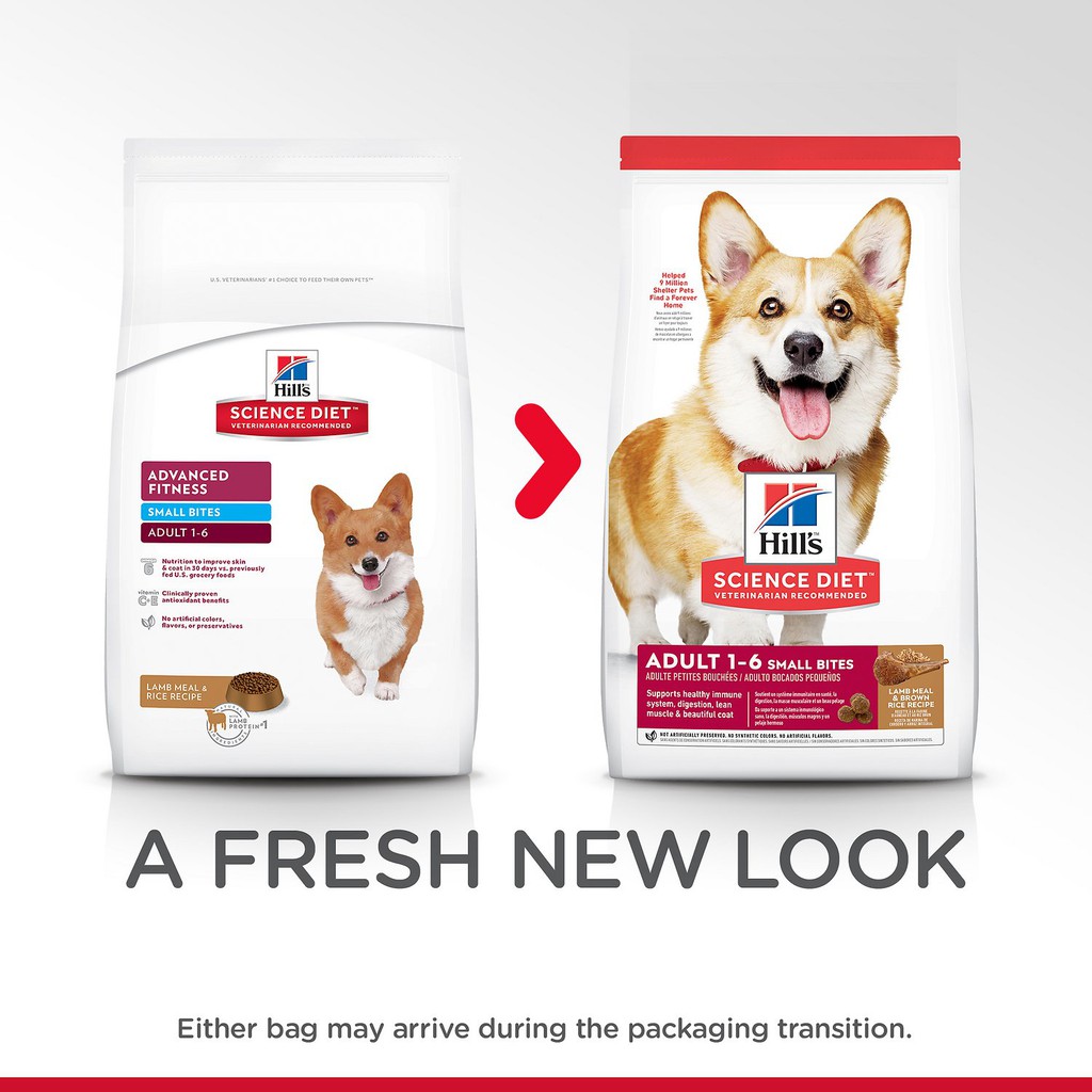 science diet small breed adult