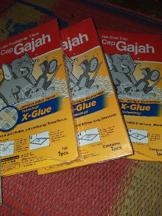 Lem Perangkap Tikus Cap Gajah Papan 70gr