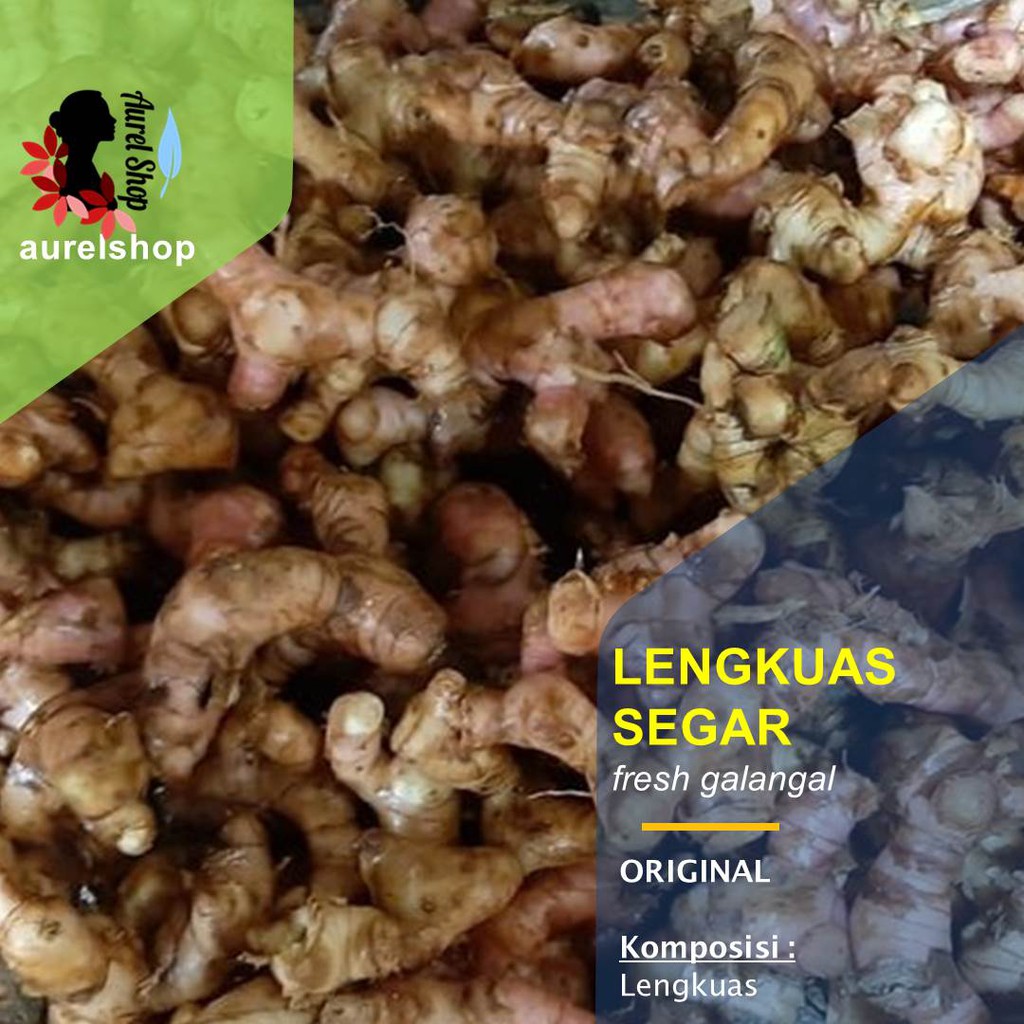 

Laos Segar Lengkuas kemasan 1 kg