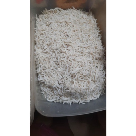 

IKAN ASIN TOGE/IKAN ASIN MEDAN