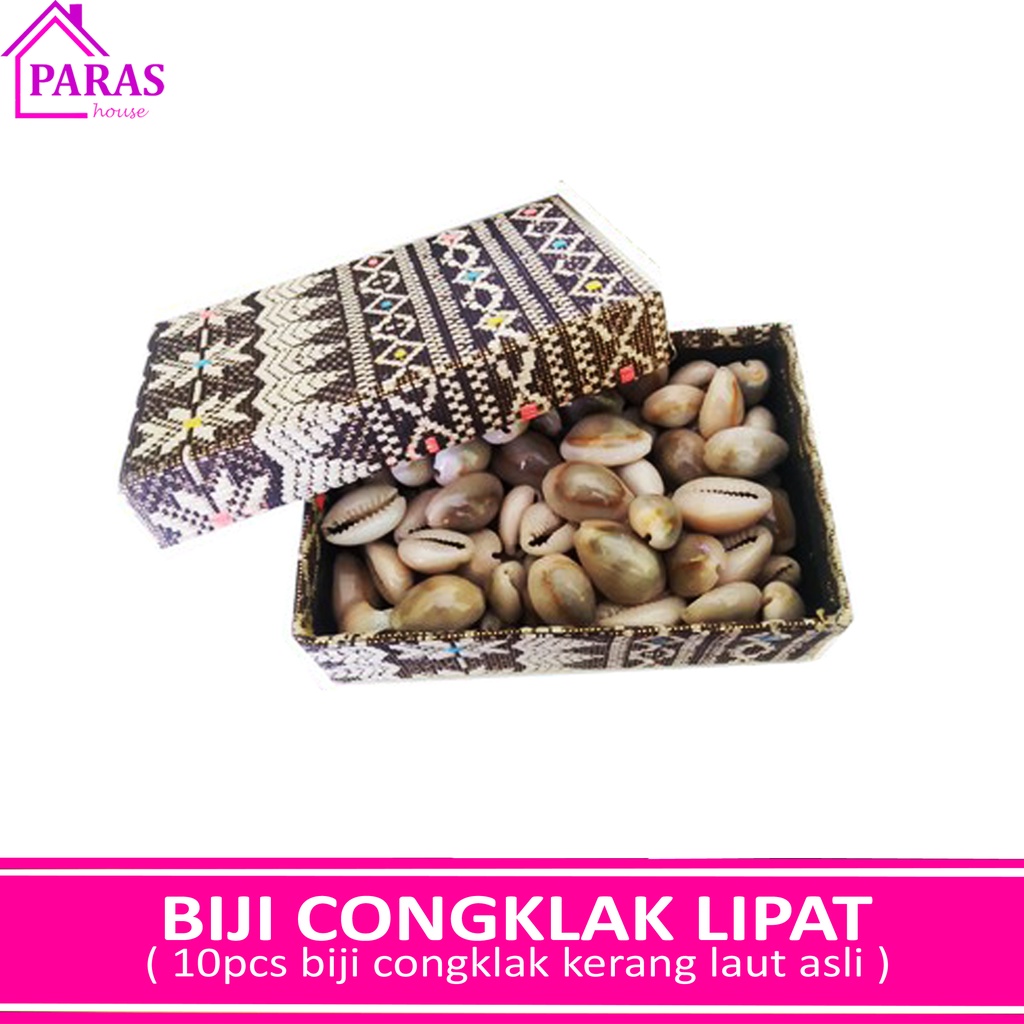 PARAS - Biji Kerang Kuwuk Laut Asli Plus Box biji kerang laut asli bukan plastik