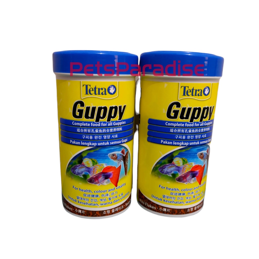 Tetra Guppy Makanan Ikan Guppy