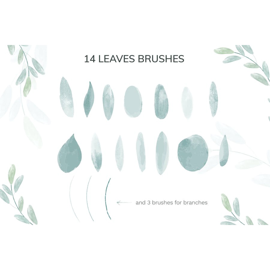 Vector Botanical Watercolor Brushes