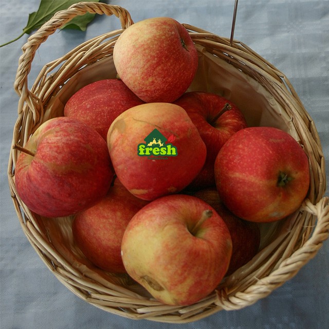 

Apel GALLA 1 kilo - GALA APPLE Import best in town