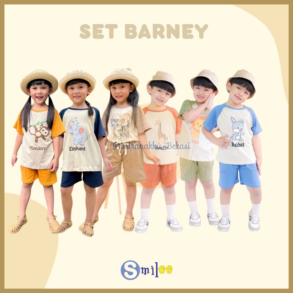 Setelan Anak Unisex Barney Smilee Mix Warna  Size 1-5 Thn